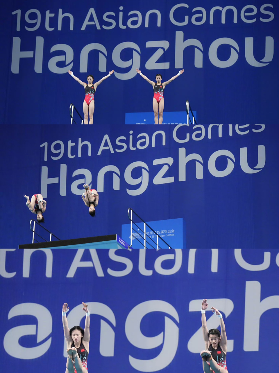 关于中国跳水组合一举夺金霸气登顶的信息