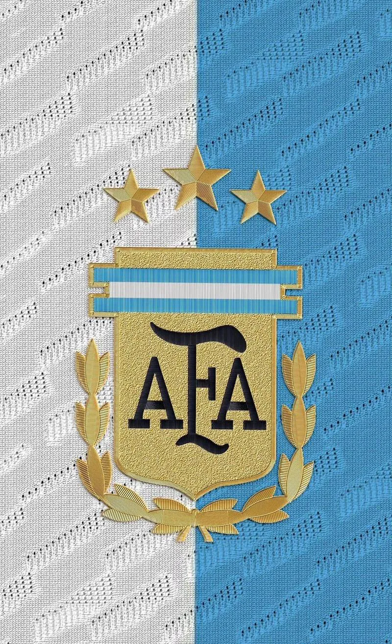 巴西队再次获得锦标赛冠军 巴西队再次获得锦标赛冠军