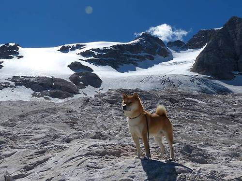 开云平台-鹰击长空，一节定乾坤！范弗利特甩开魔术师魔咒