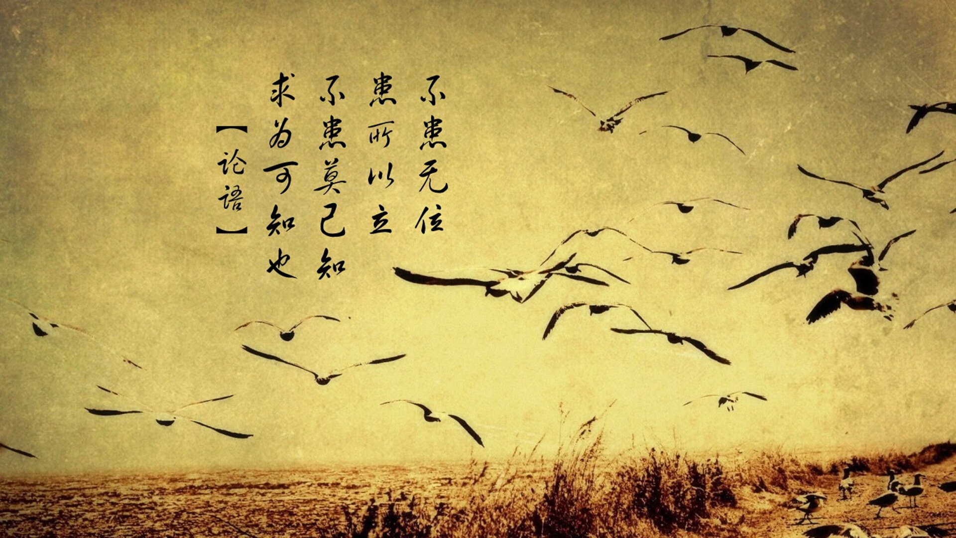 铁血意志的传承者，当马竞灵魂附体，莫德里奇完美诠释何为淘汰荷兰